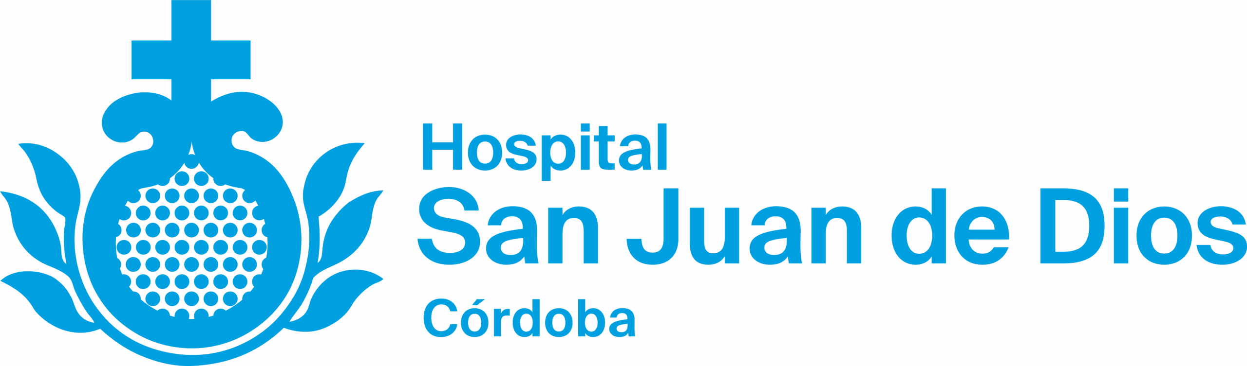 SJD-Logo